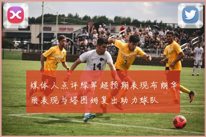 媒体人点评绿军超预期表现布朗华丽表现与塔图姆复出助力球队