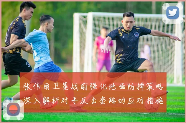 张伟丽卫冕战前强化地面防摔策略深入解析对手反击套路的应对措施