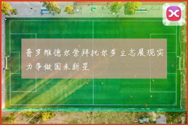 普罗维德尔崇拜托尔多立志展现实力争做国米新星